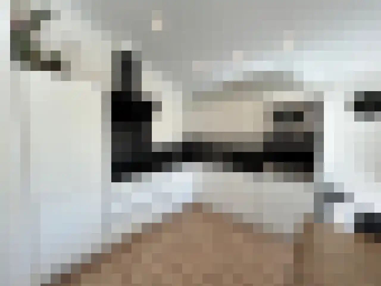 Laan van Laag Kanje 1 r 2435 Maarn thumbnail 12