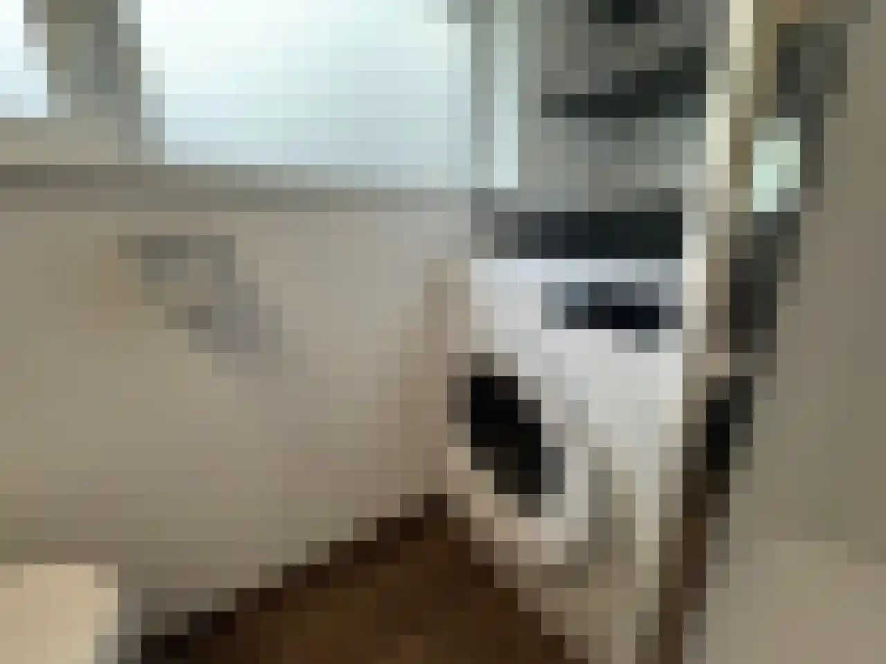 Laan van Laag Kanje 1 r 2435 Maarn thumbnail 12