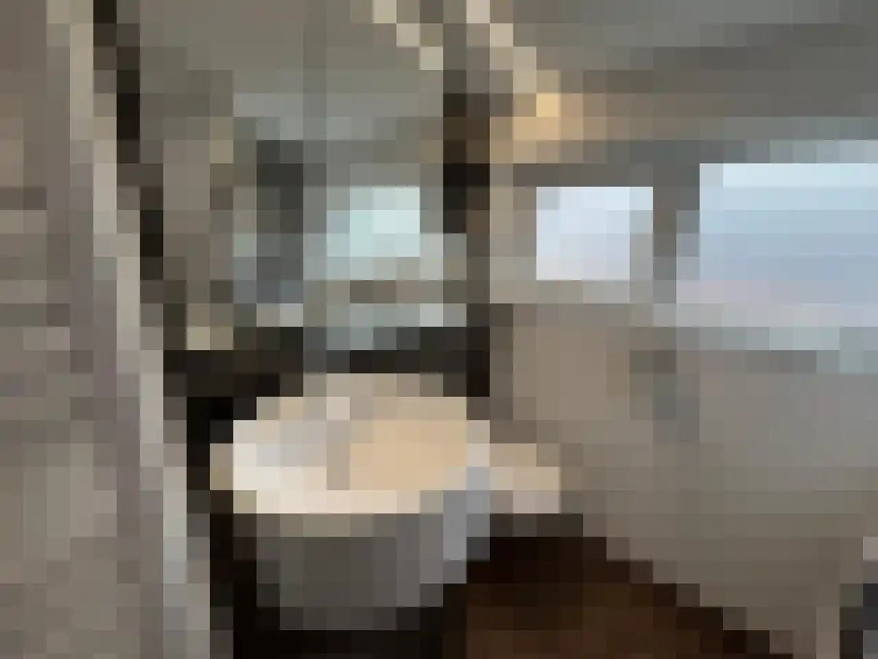 Laan van Laag Kanje 1 r 2435 Maarn thumbnail 13