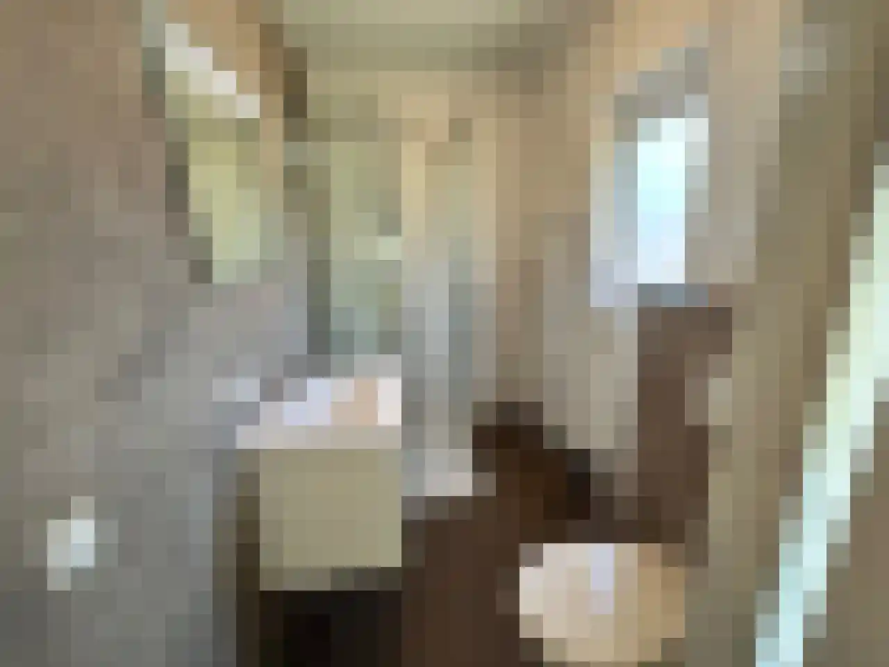 Laan van Laag Kanje 1 r 2435 Maarn thumbnail 13