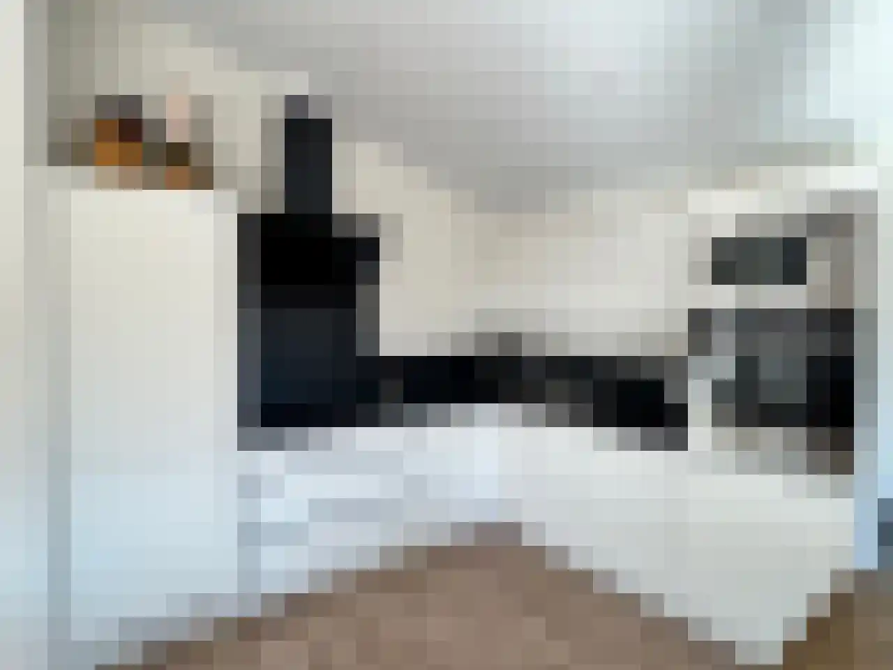 Laan van Laag Kanje 1 r 2435 Maarn thumbnail 13