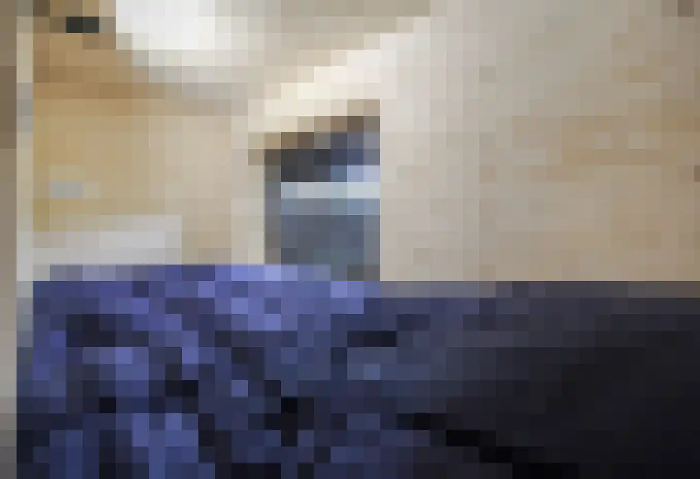 Laan van Laag Kanje 1 r 2435 Maarn thumbnail 14