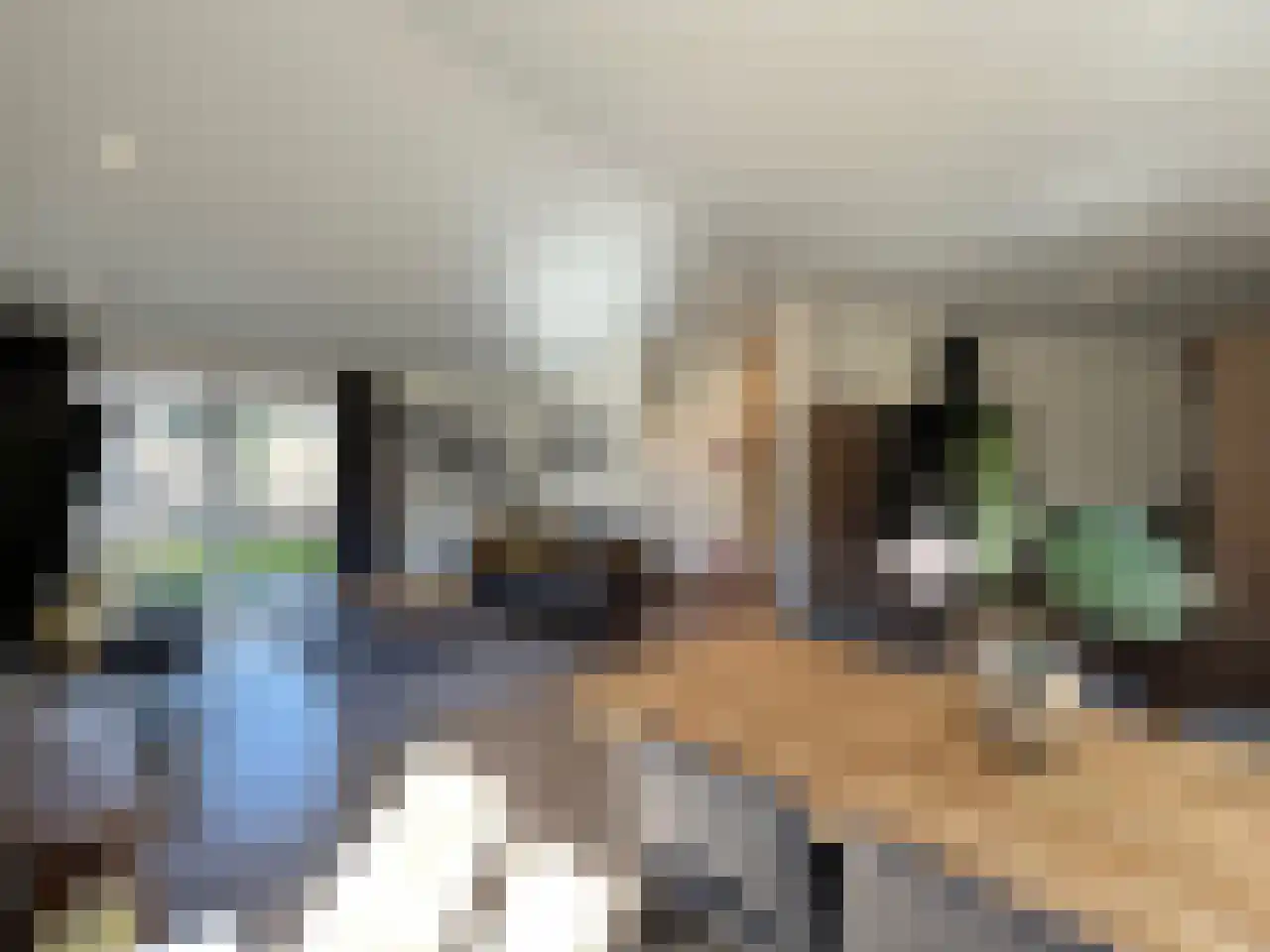 Laan van Laag Kanje 1 r 2435 Maarn thumbnail 14