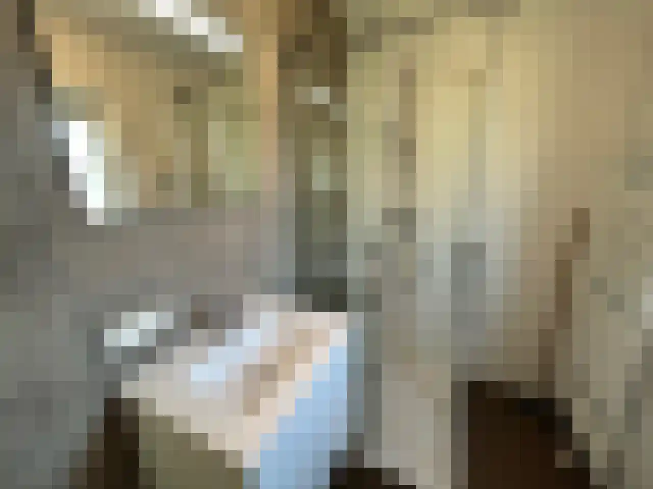 Laan van Laag Kanje 1 r 2435 Maarn thumbnail 14