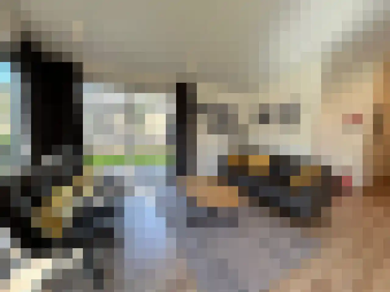 Laan van Laag Kanje 1 r 2435 Maarn thumbnail 15