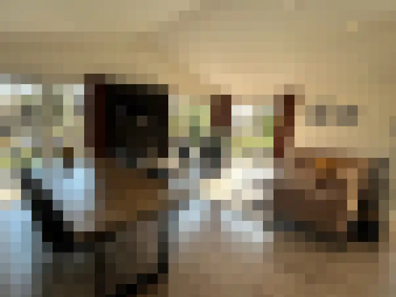 Laan van Laag Kanje 1 r 2435 Maarn thumbnail 15