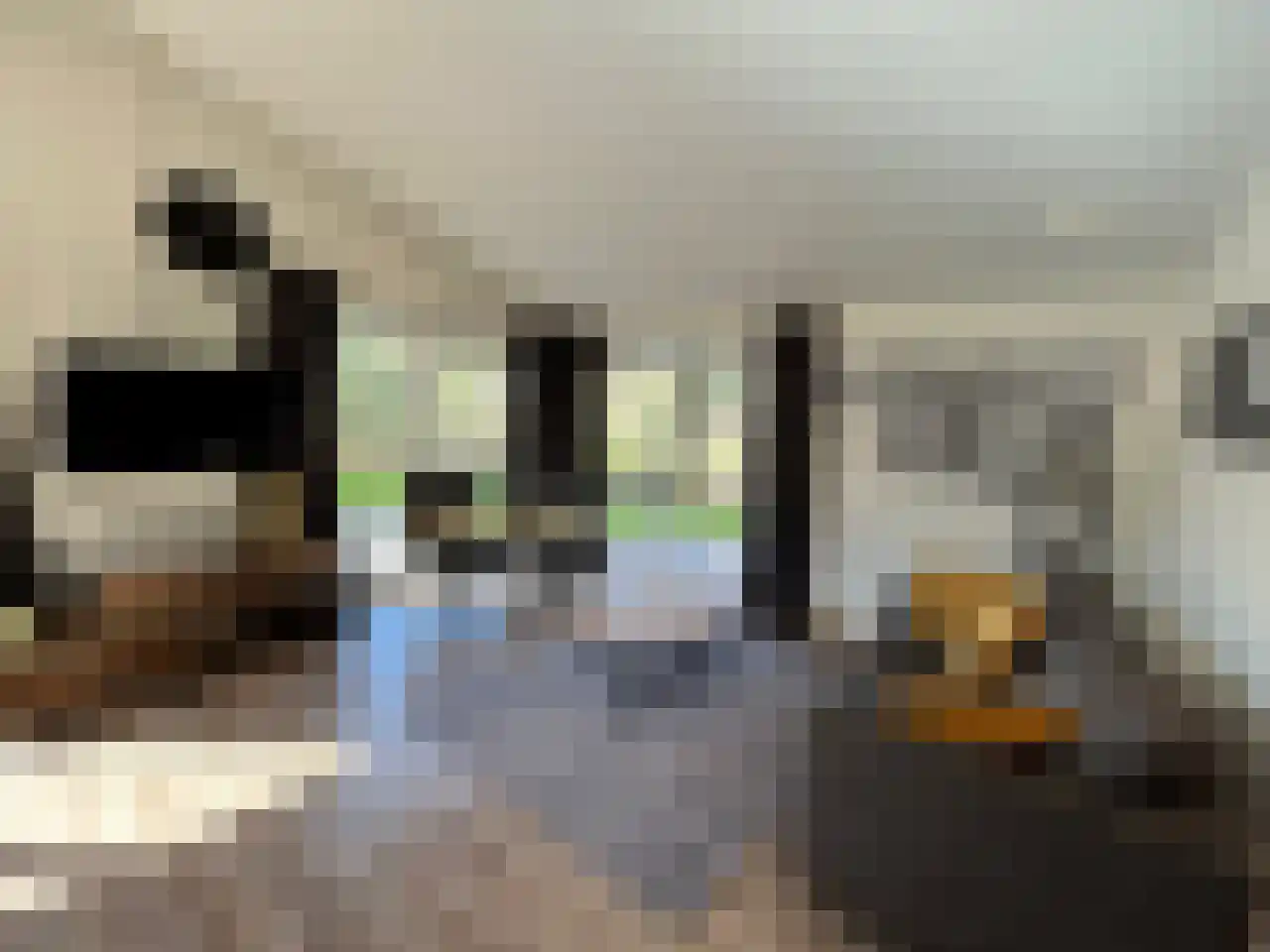 Laan van Laag Kanje 1 r 2435 Maarn thumbnail 16