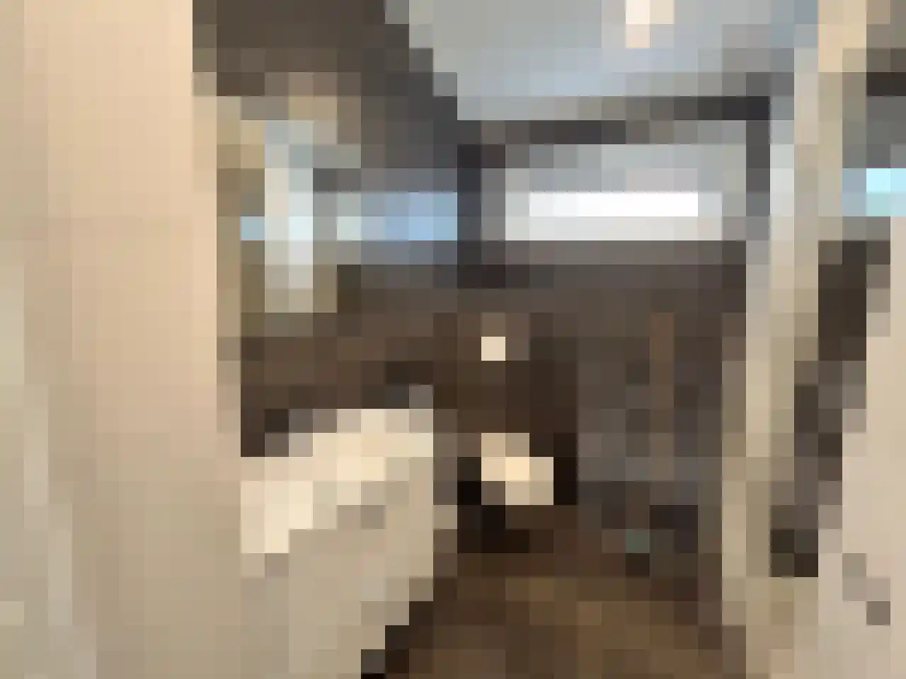 Laan van Laag Kanje 1 r 2435 Maarn thumbnail 19