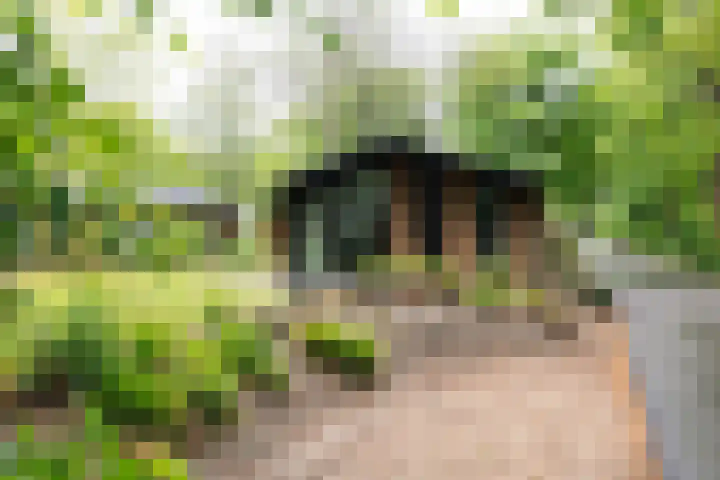 Laan van Laag Kanje 1 r 2435 Maarn thumbnail 19