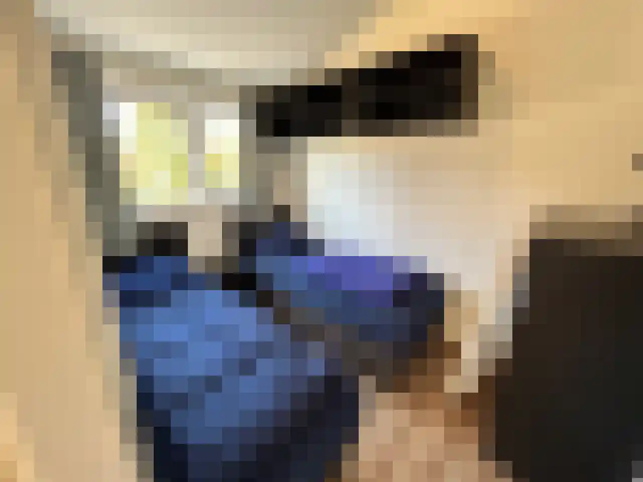 Laan van Laag Kanje 1 r 2435 Maarn thumbnail 19