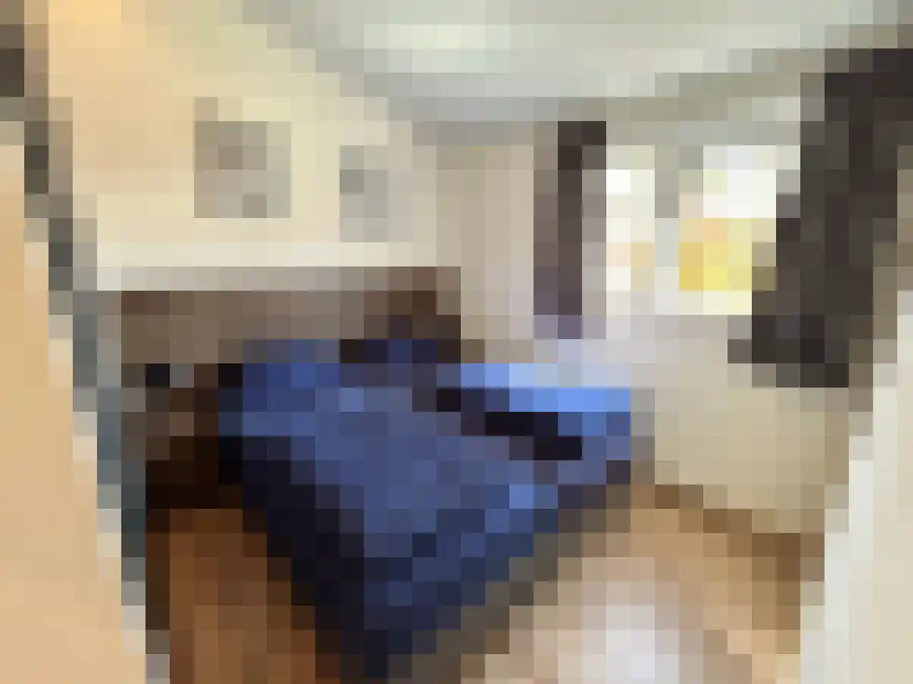 Laan van Laag Kanje 1 r 2435 Maarn thumbnail 25