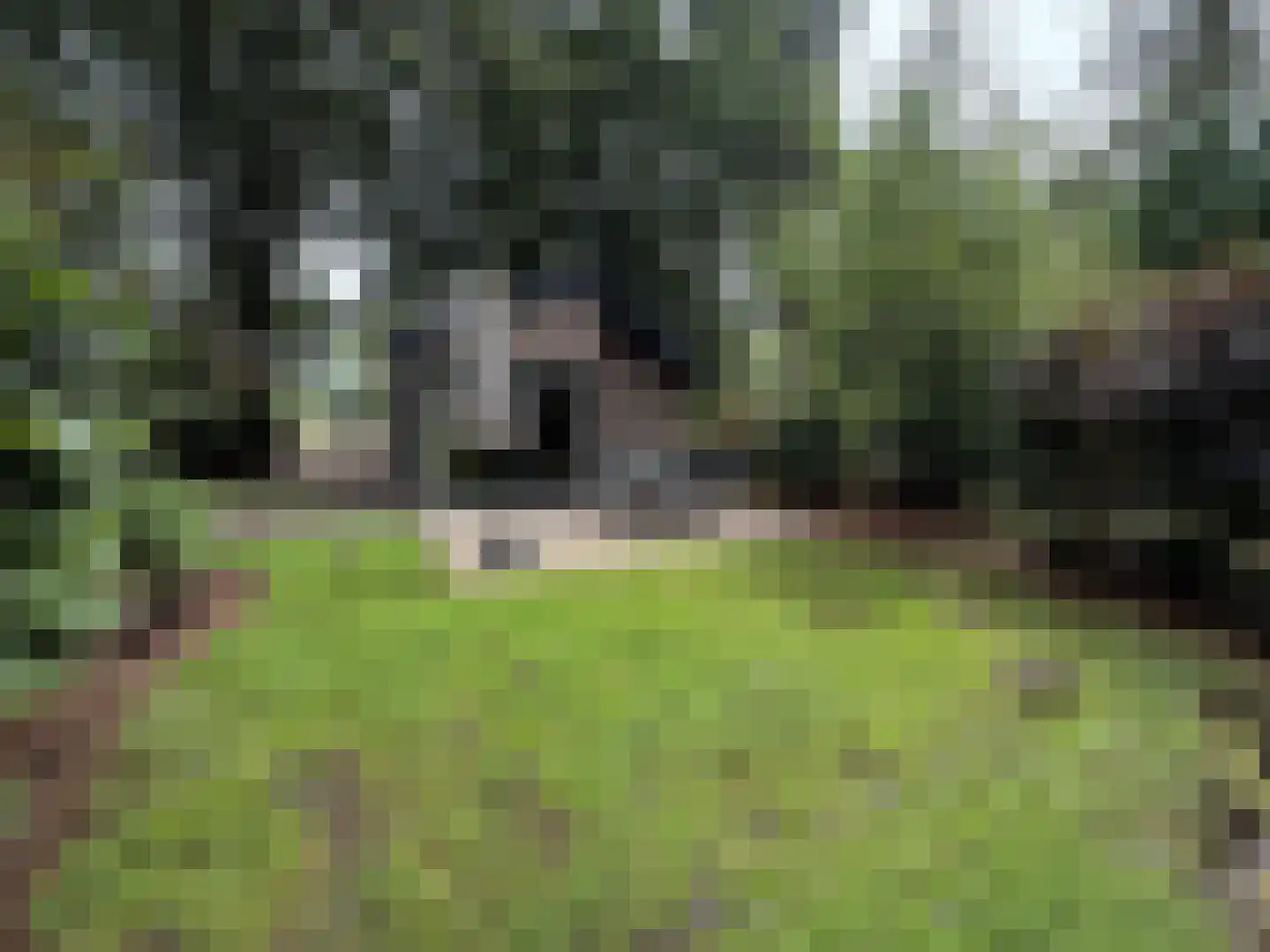 Laan van Laag Kanje 1 r 2435 Maarn thumbnail 4