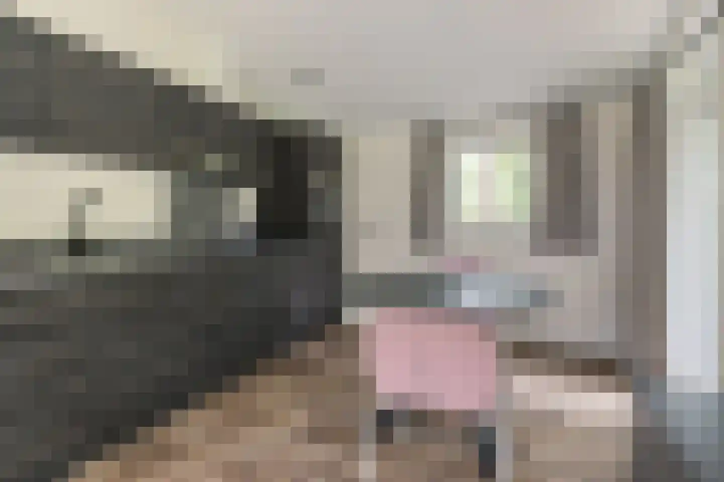 Laan van Laag Kanje 1 r 2435 Maarn thumbnail 4