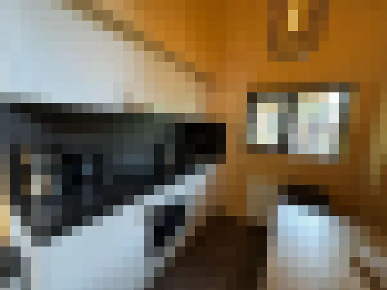 Laan van Laag Kanje 1 r 2435 Maarn thumbnail 4
