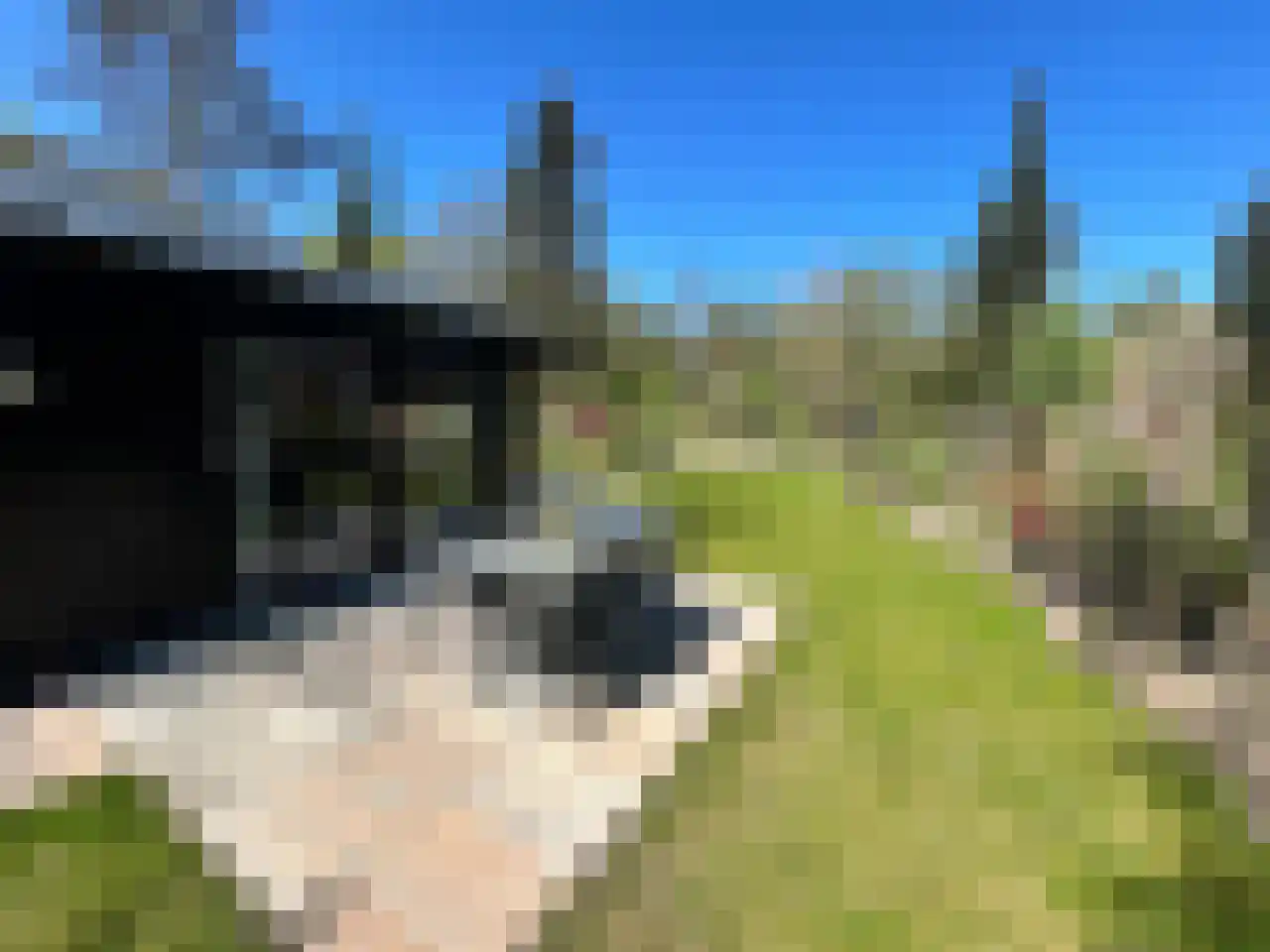 Laan van Laag Kanje 1 r 2435 Maarn thumbnail 4