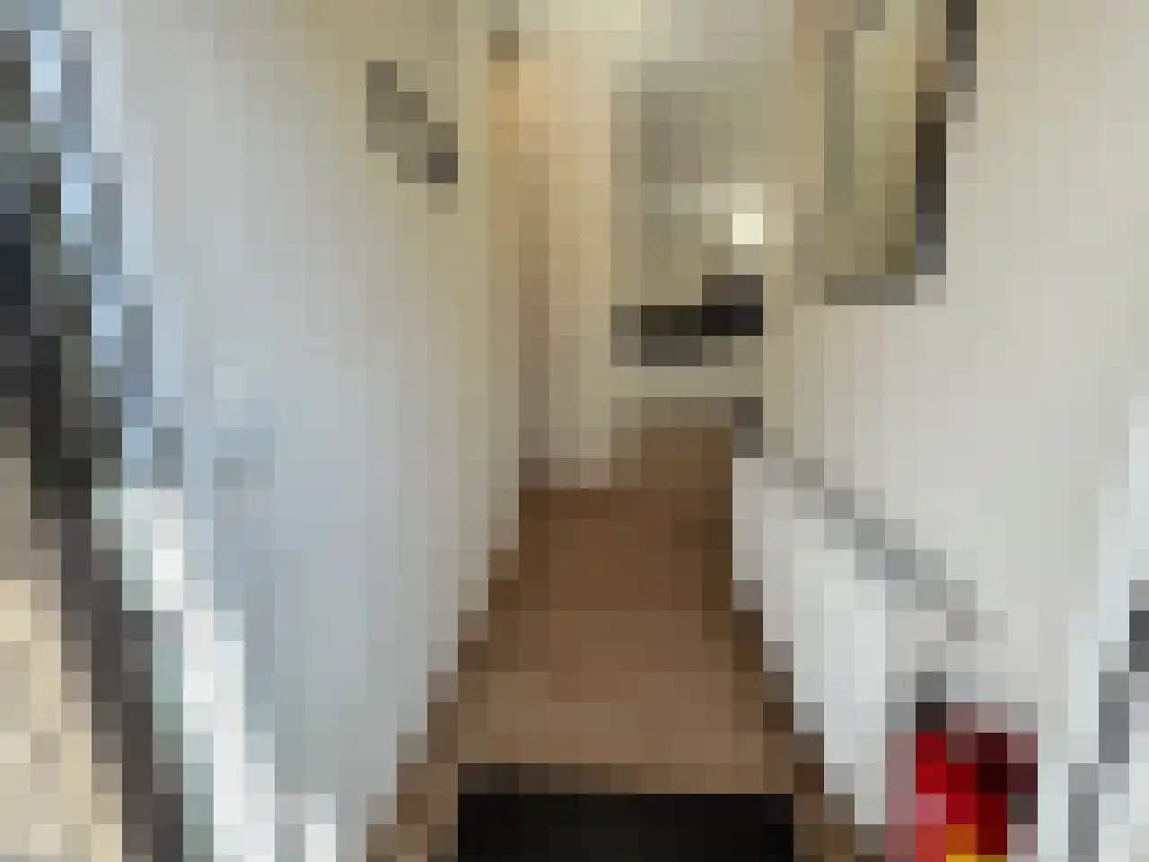 Laan van Laag Kanje 1 r 2435 Maarn thumbnail 5