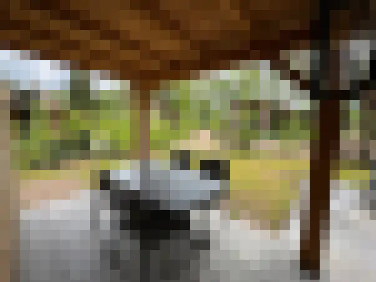 Laan van Laag Kanje 1 r 2435 Maarn thumbnail 5