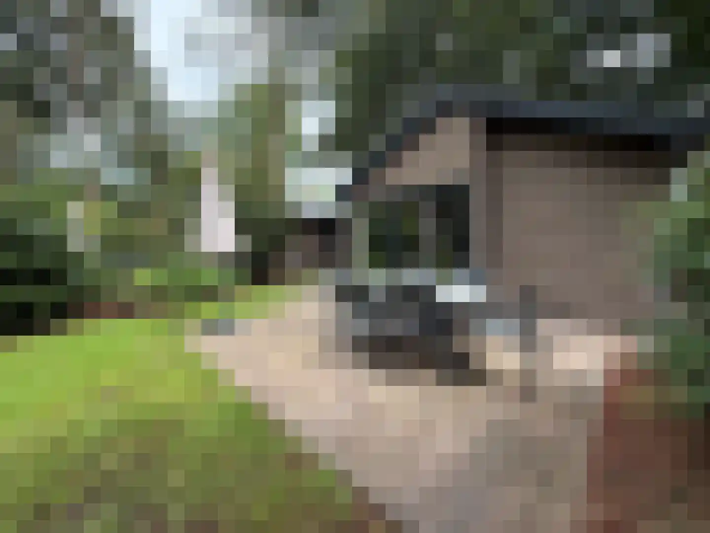 Laan van Laag Kanje 1 r 2435 Maarn thumbnail 5
