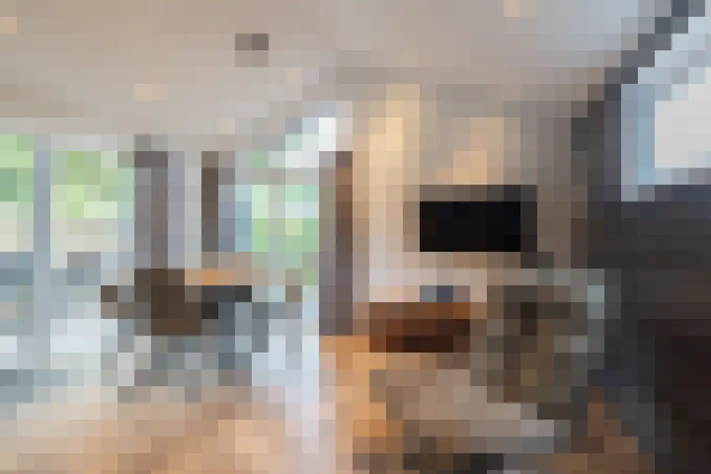 Laan van Laag Kanje 1 r 2435 Maarn thumbnail 5