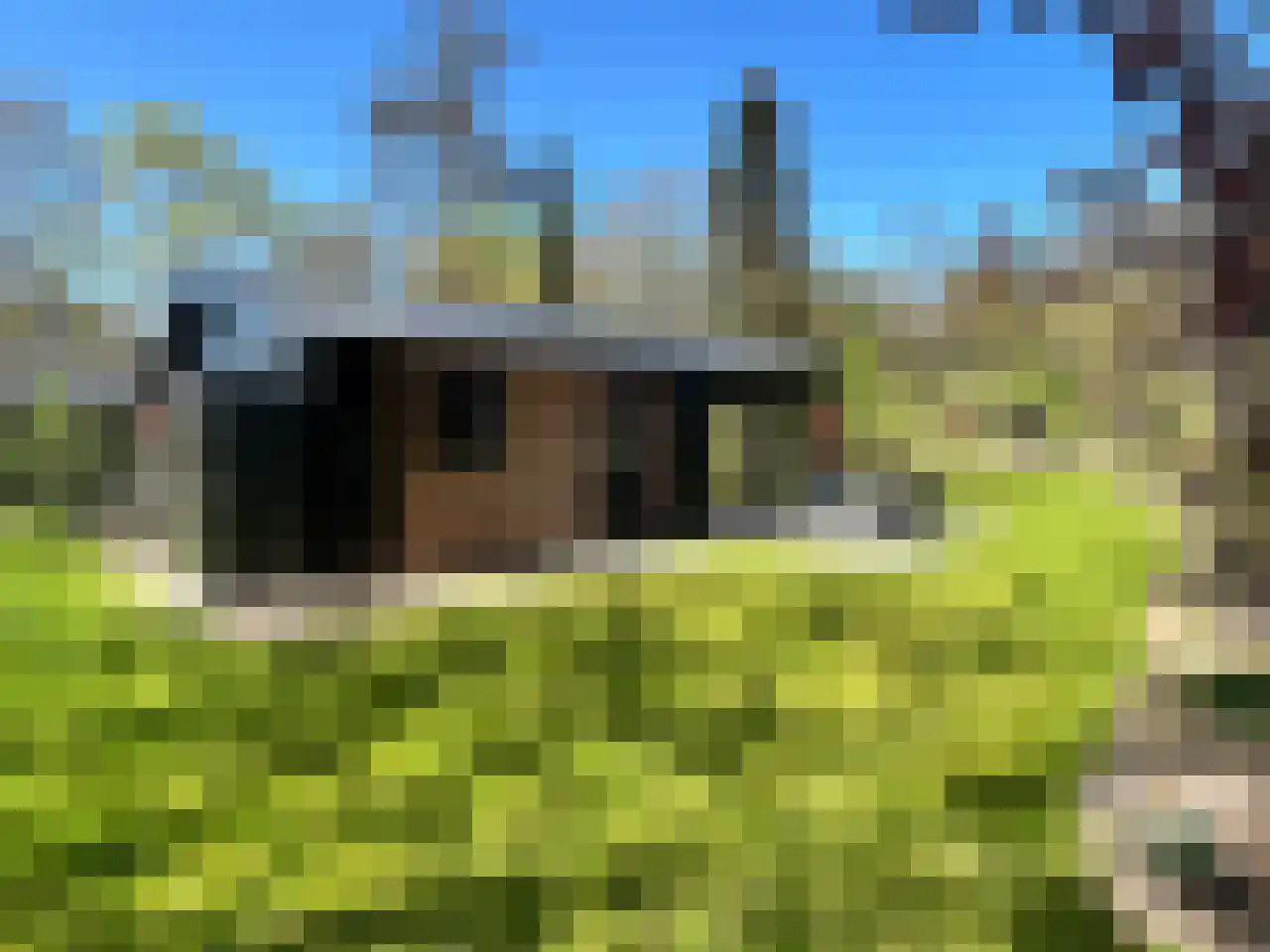 Laan van Laag Kanje 1 r 2435 Maarn thumbnail 6