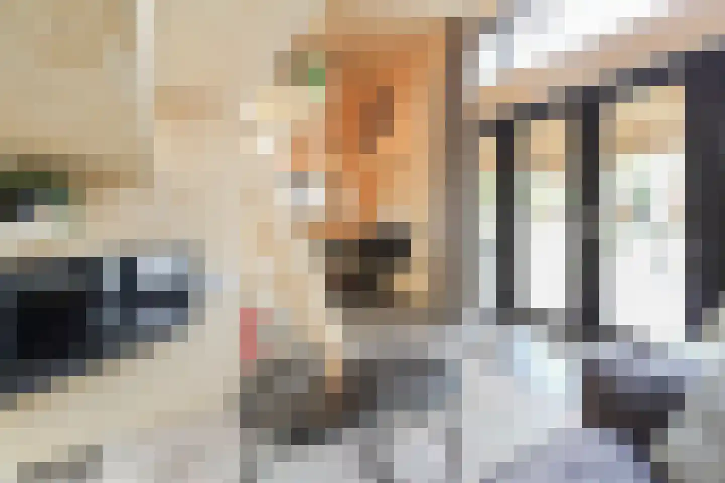 Laan van Laag Kanje 1 r 2435 Maarn thumbnail 6