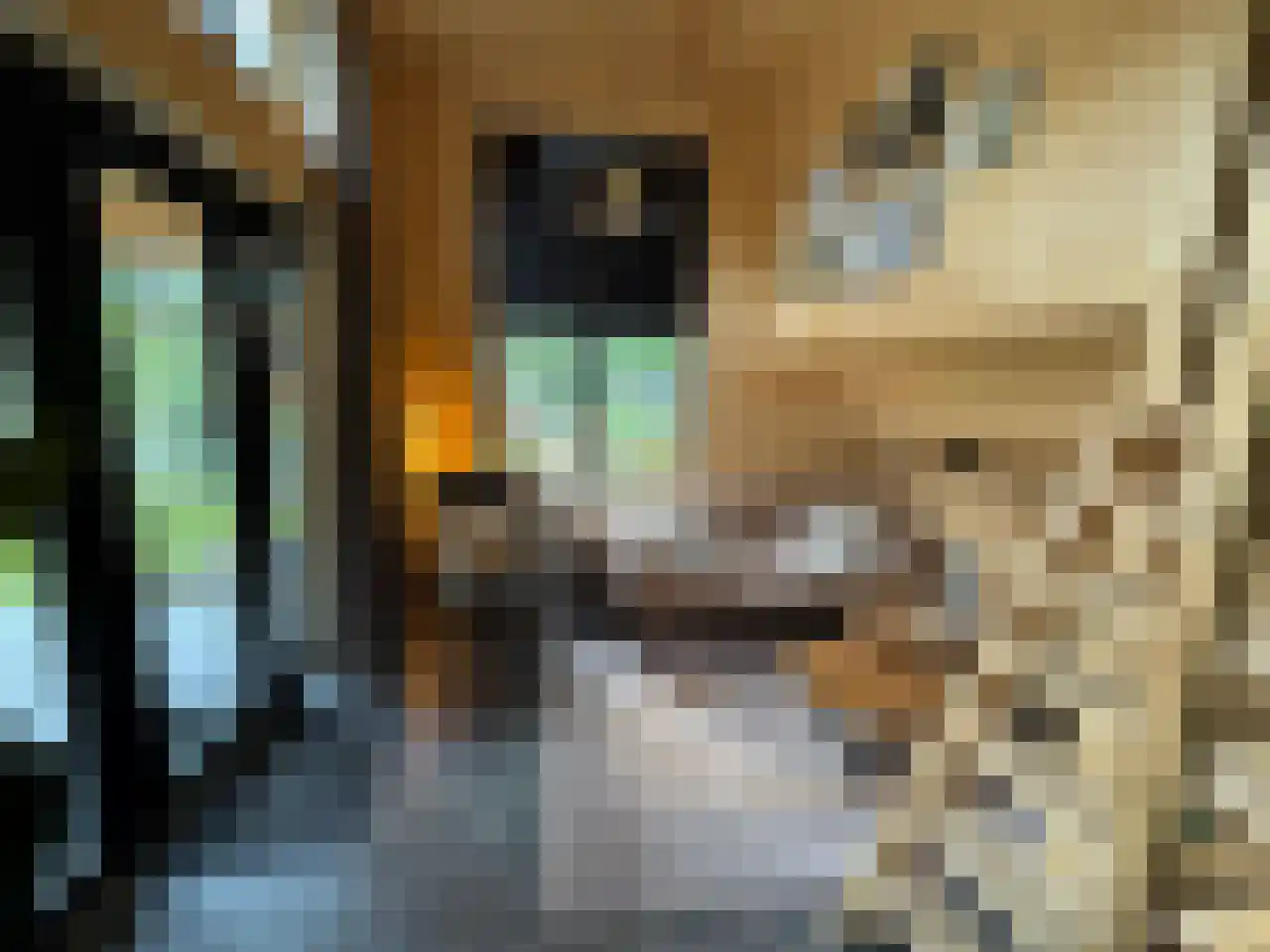 Laan van Laag Kanje 1 r 2435 Maarn thumbnail 6