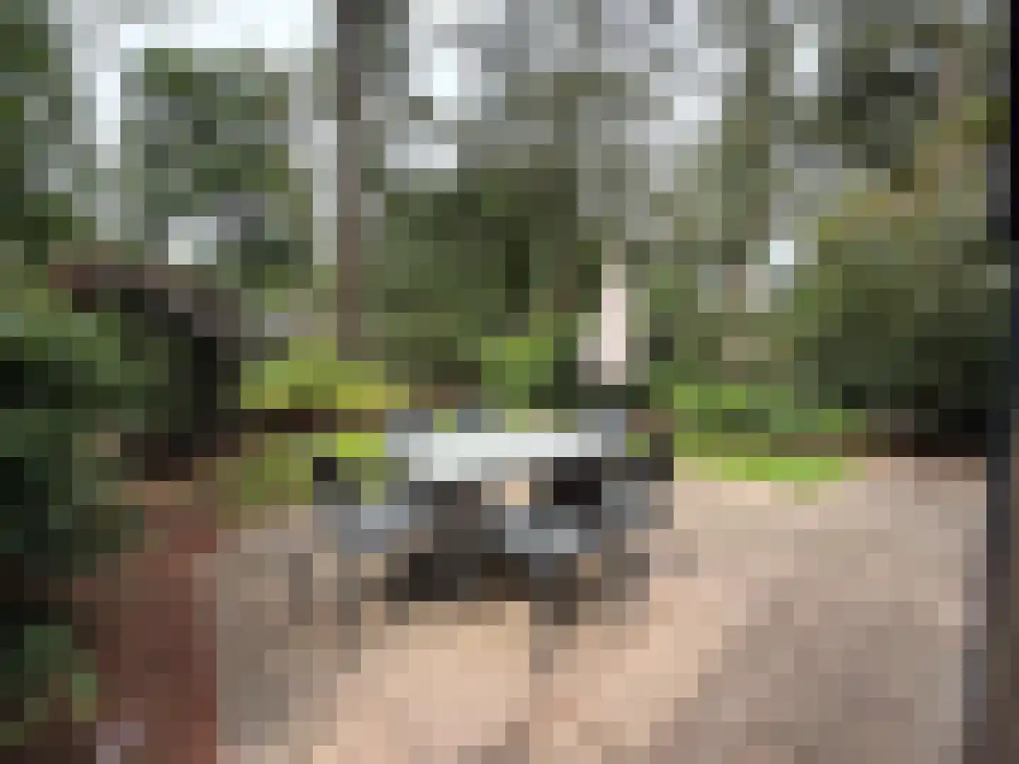 Laan van Laag Kanje 1 r 2435 Maarn thumbnail 6