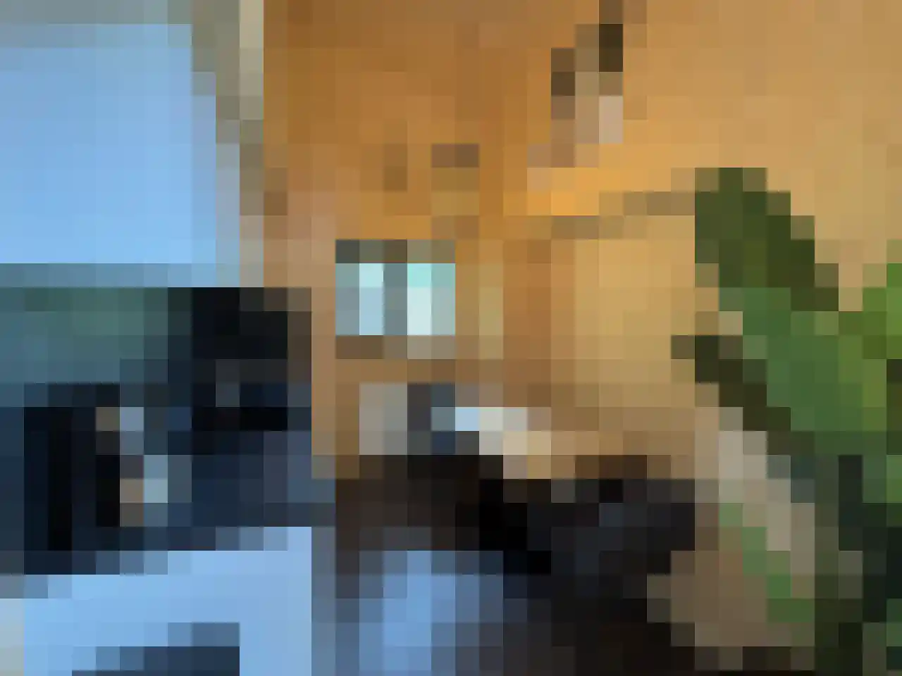 Laan van Laag Kanje 1 r 2435 Maarn thumbnail 7