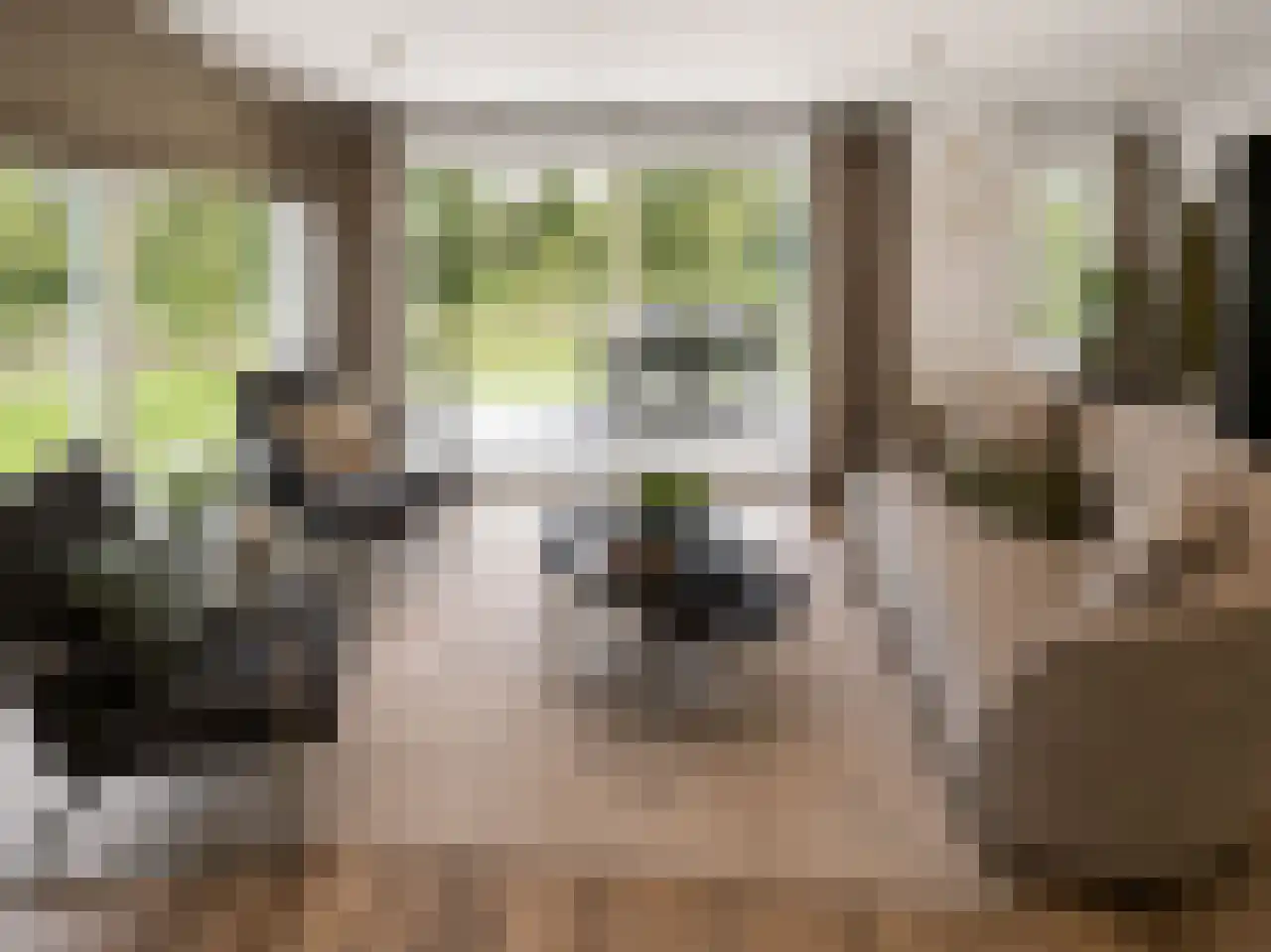 Laan van Laag Kanje 1 r 2435 Maarn thumbnail 7