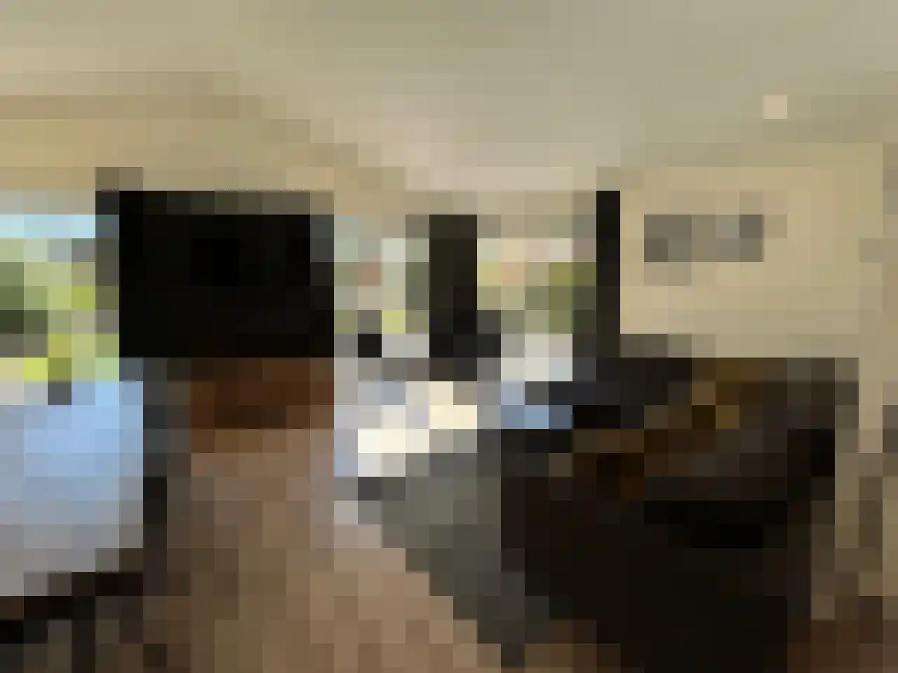 Laan van Laag Kanje 1 r 2435 Maarn thumbnail 7