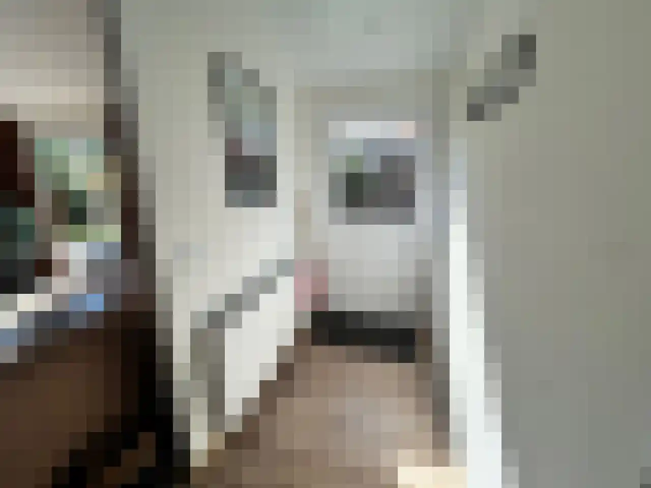 Laan van Laag Kanje 1 r 2435 Maarn thumbnail 7