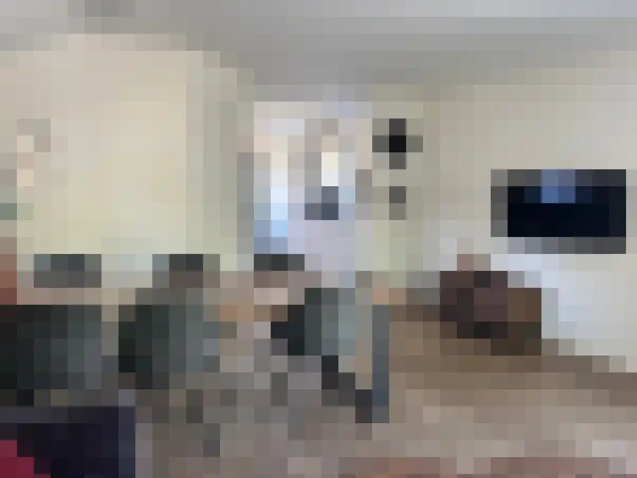 Laan van Laag Kanje 1 r 2435 Maarn thumbnail 8