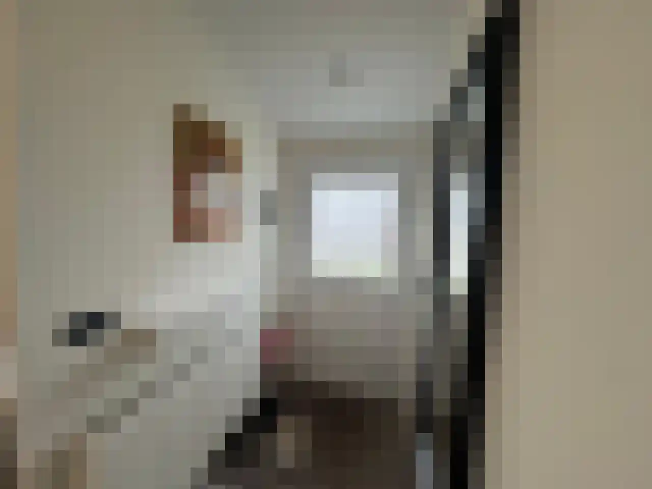 Laan van Laag Kanje 1 r 2435 Maarn thumbnail 8
