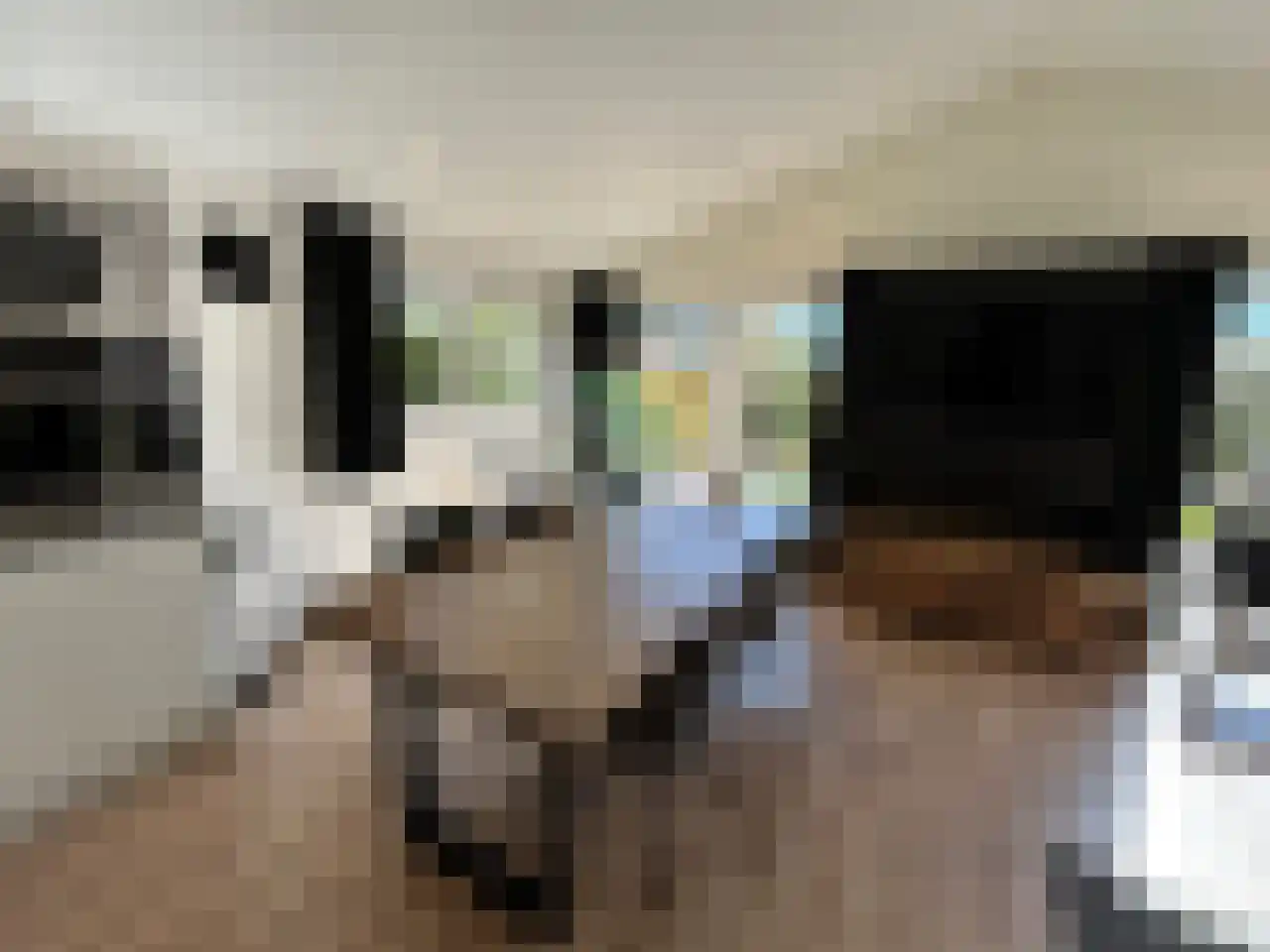 Laan van Laag Kanje 1 r 2435 Maarn thumbnail 8
