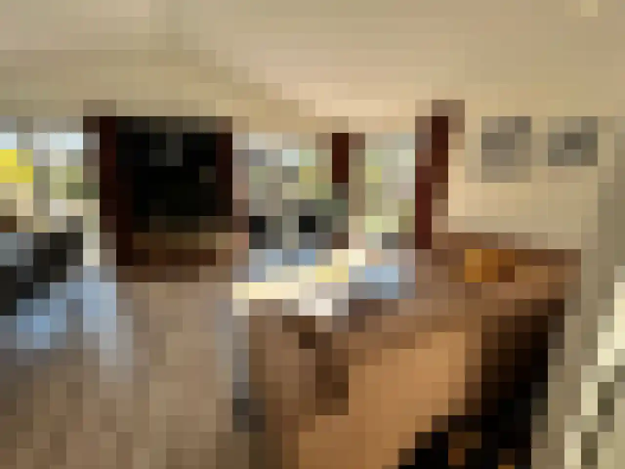 Laan van Laag Kanje 1 r 2435 Maarn thumbnail 8