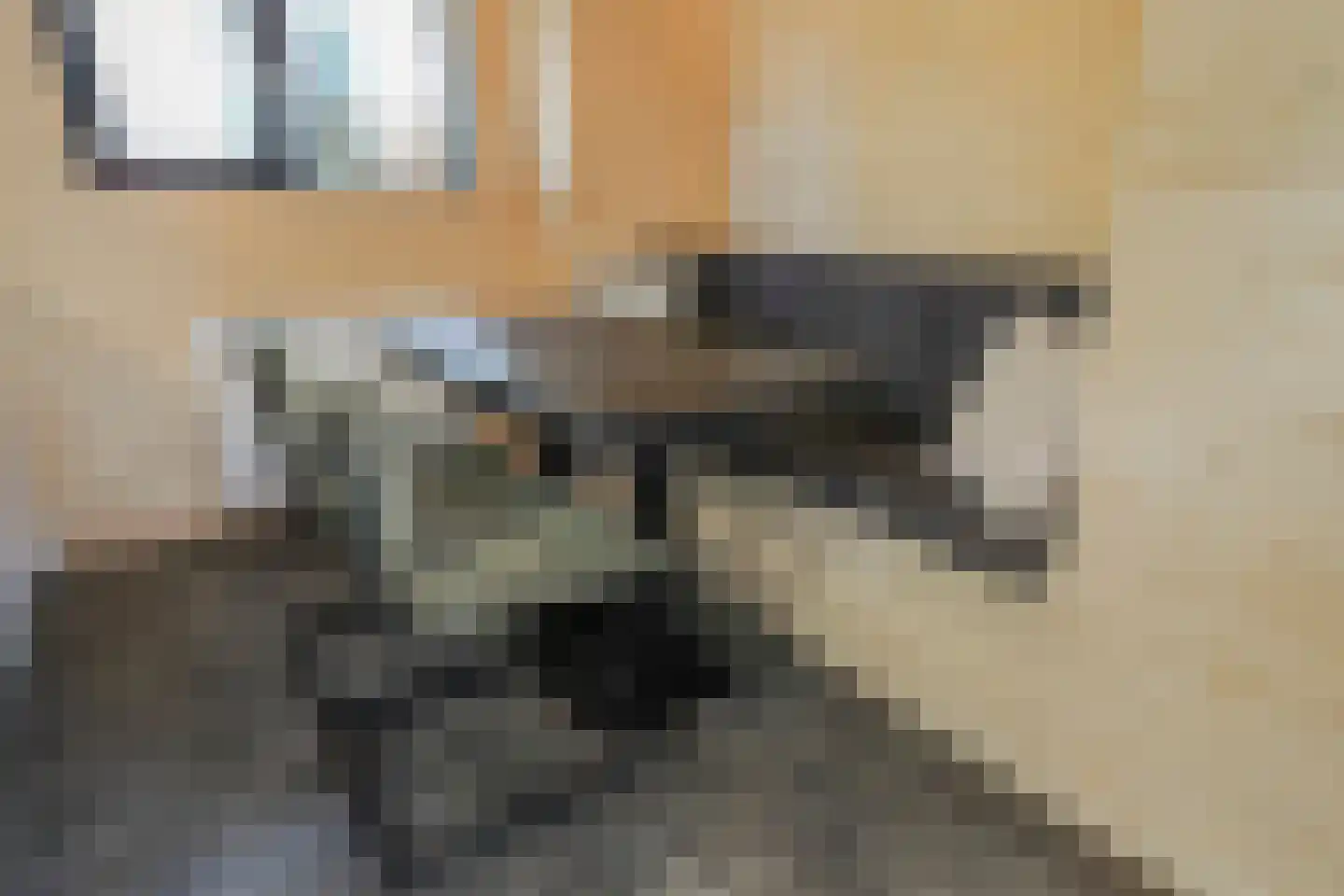 Laan van Laag Kanje 1 r 2435 Maarn thumbnail 8
