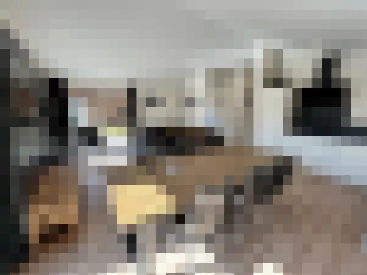 Laan van Laag Kanje 1 r 2435 Maarn thumbnail 9