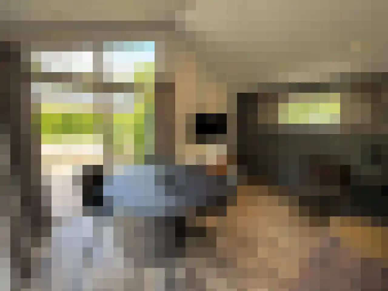 Laan van Laag Kanje 1 r 2435 Maarn thumbnail 9