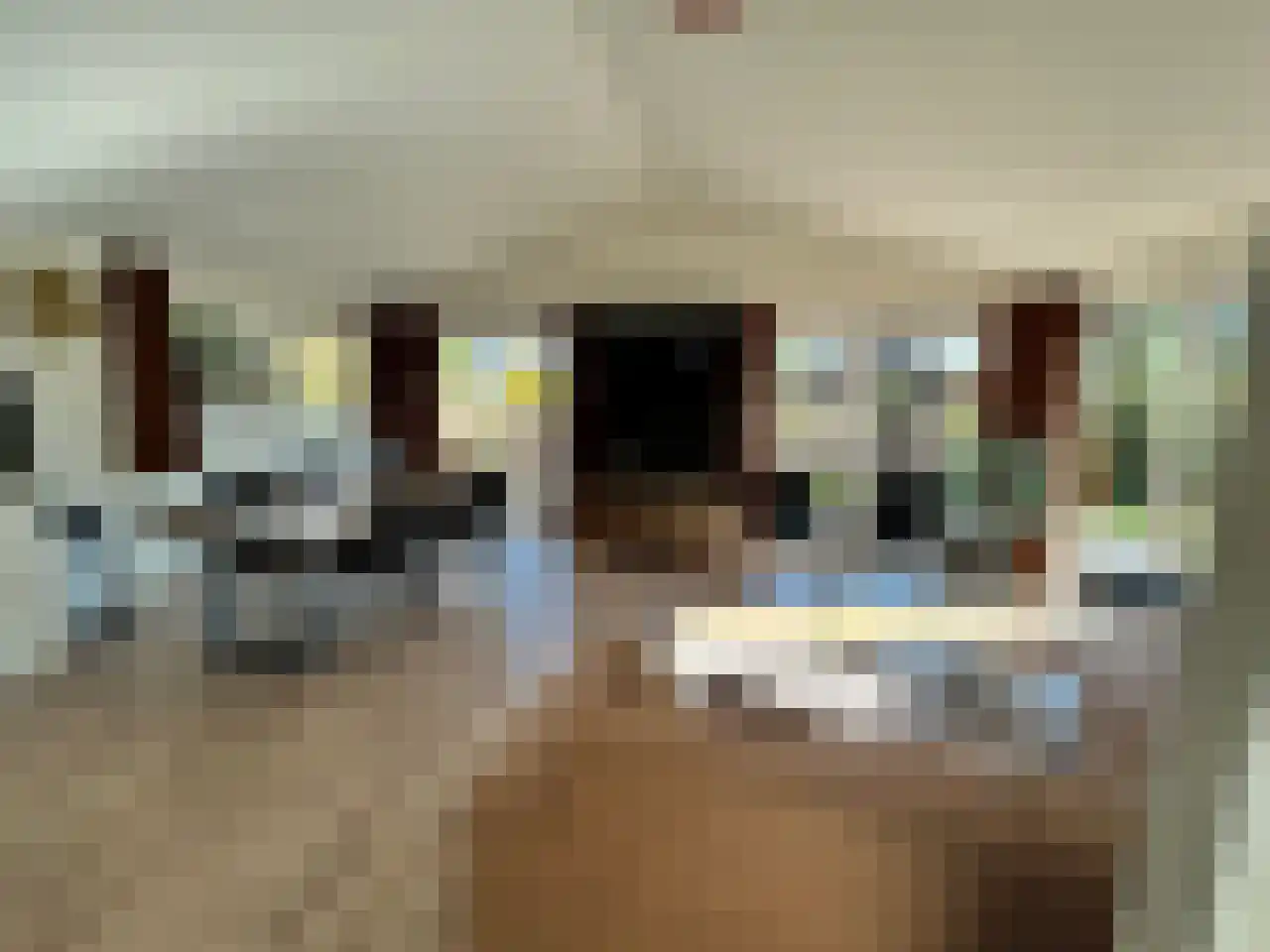 Laan van Laag Kanje 1 r 2435 Maarn thumbnail 9