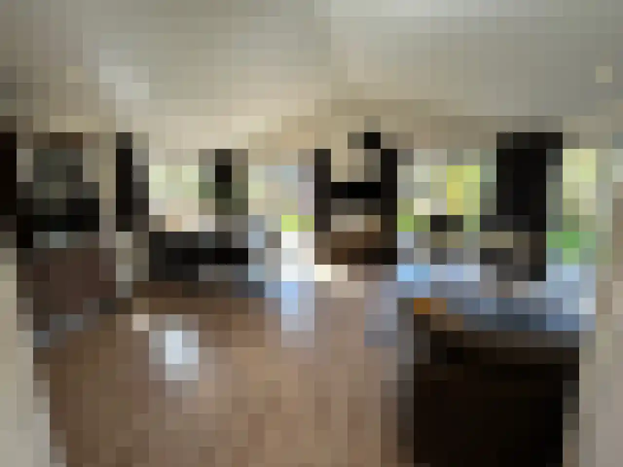 Laan van Laag Kanje 1 r 2435 Maarn thumbnail 9