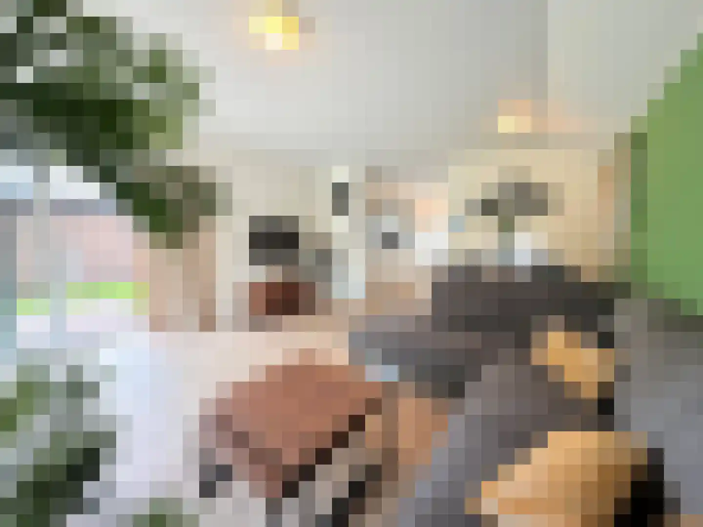 Laan van Laag Kanje 1 r 2435 Maarn thumbnail 9