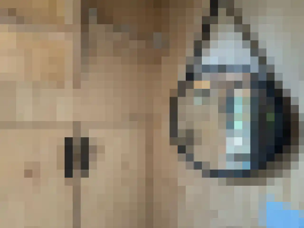 Laan van Laag Kanje 1 r 2435 Maarn thumbnail 9