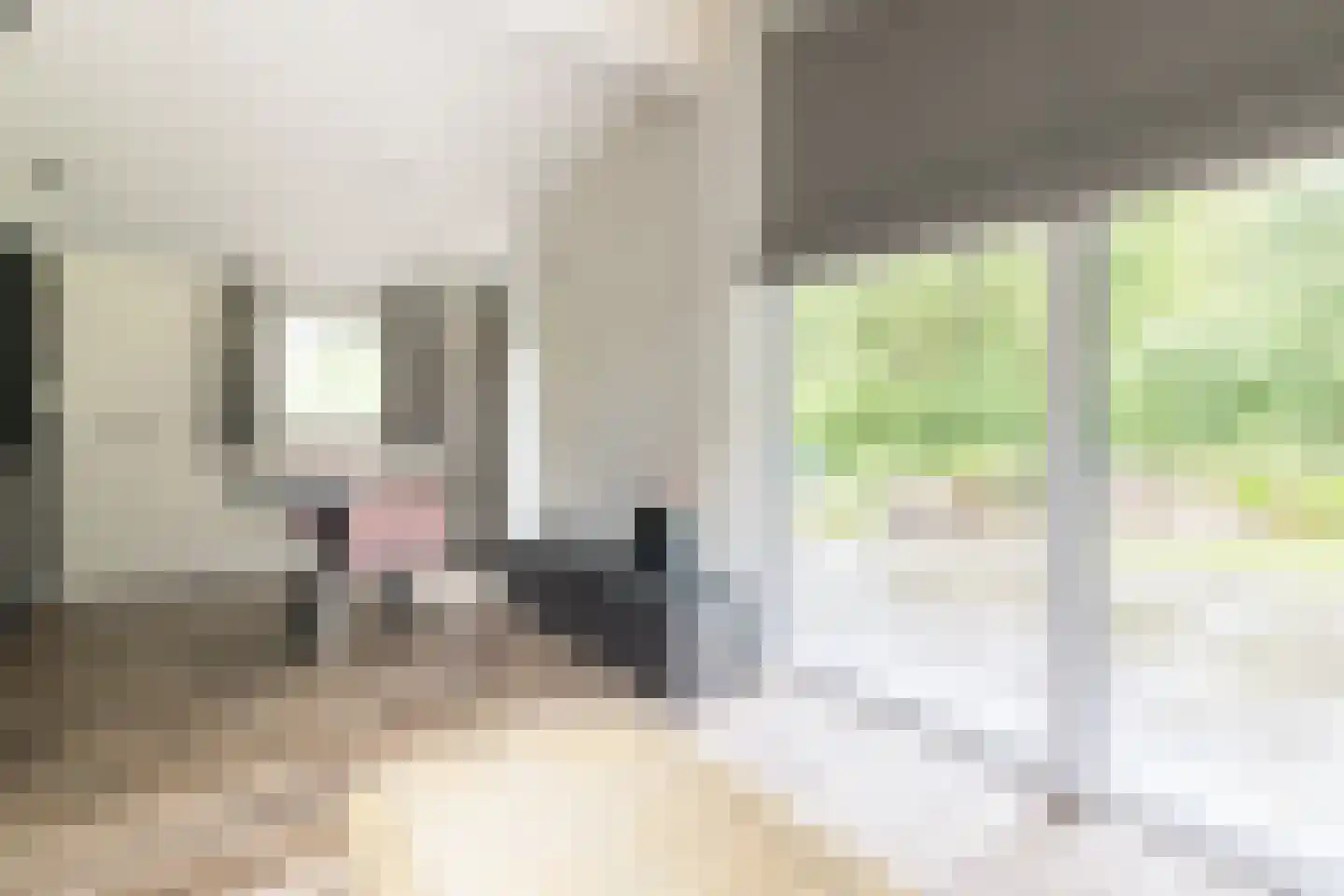 Laan van Laag Kanje 1 r 2435 Maarn thumbnail 9