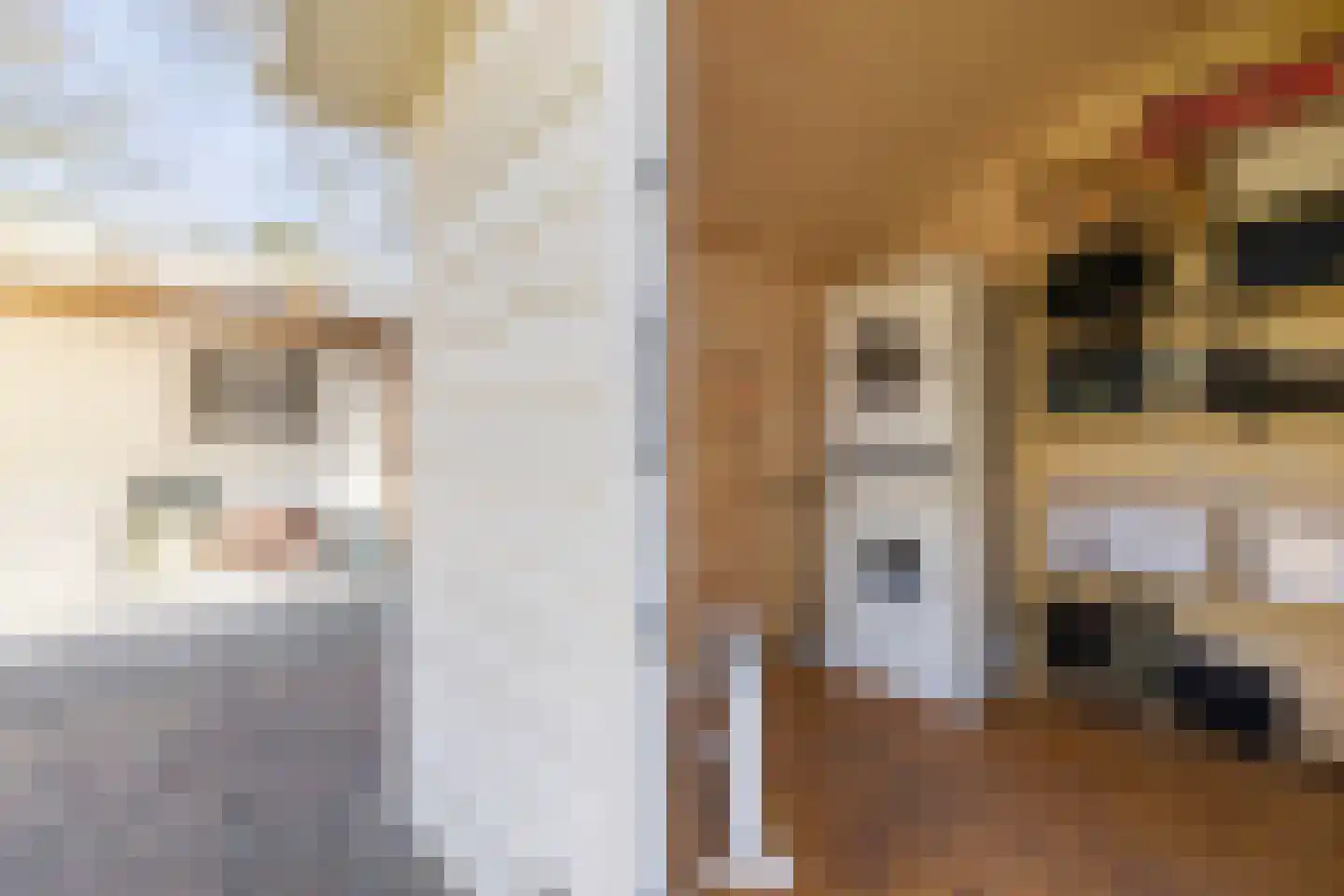 Laan van Laag Kanje 1 r 2447 Maarn thumbnail 22