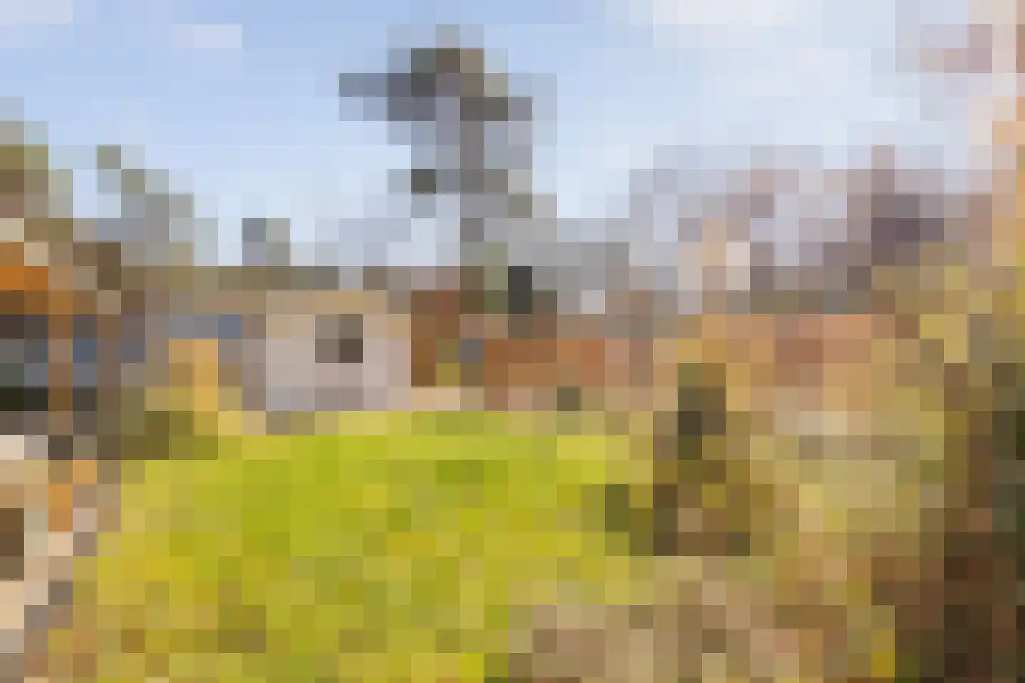 Laan van Laag Kanje 1 r 2447 Maarn thumbnail 26