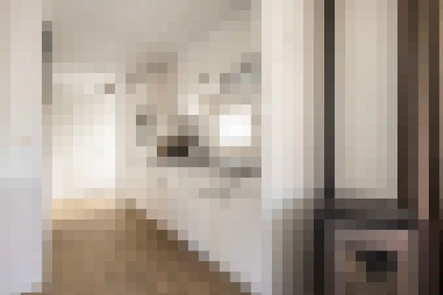 Laan van Laag Kanje 1 r 2447 Maarn thumbnail 4
