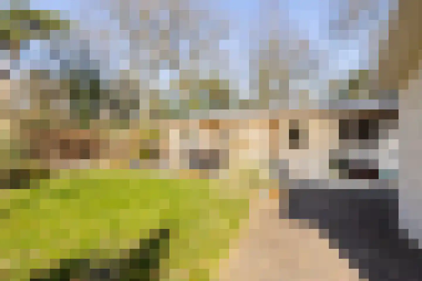 Laan van Laag Kanje 1 r 2447 Maarn thumbnail 5