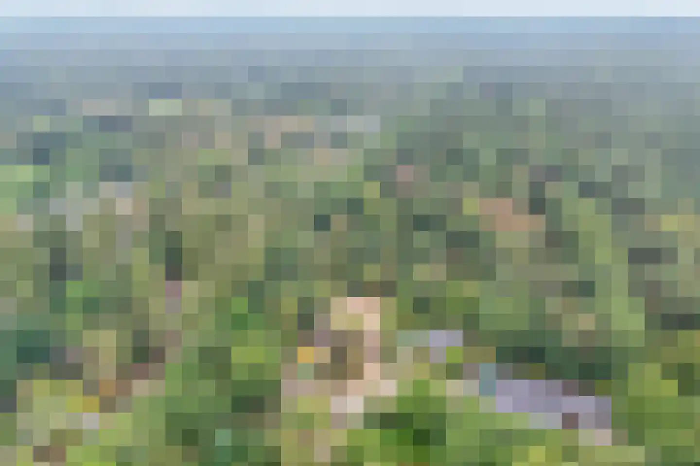 Laan van Laag Kanje 1 r 330 Maarn thumbnail 41