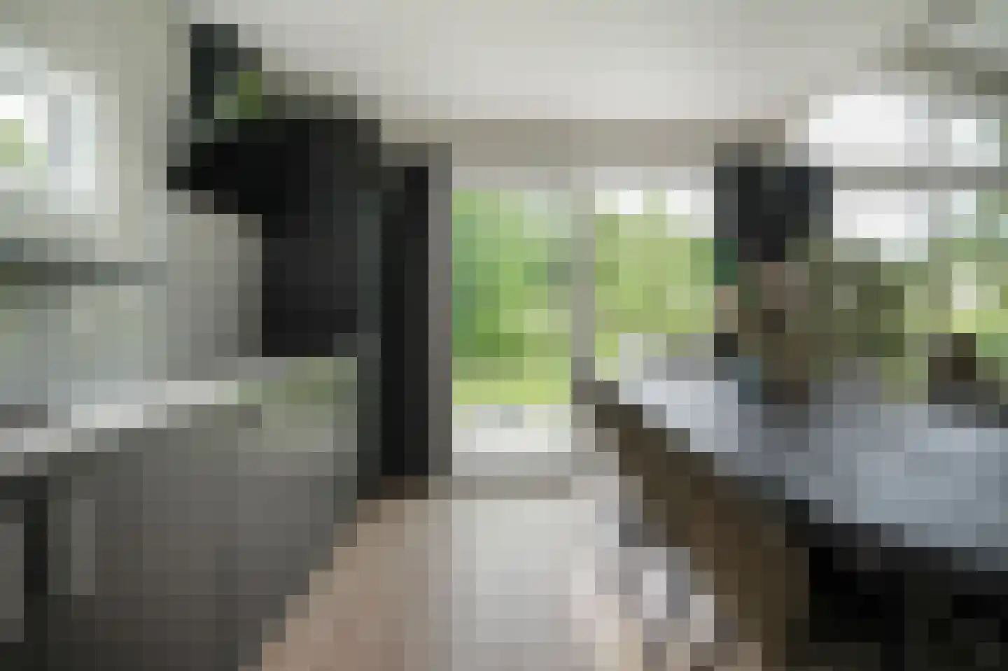 Laan van Laag Kanje 1 r 656 Maarn thumbnail 11