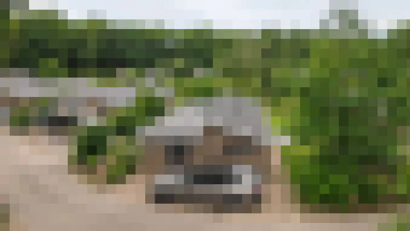 Laan van Laag Kanje 1 r 656 Maarn thumbnail 31